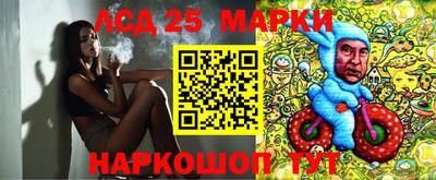 молекула духа Будённовск
