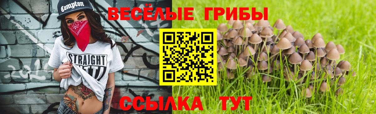 Кубинка  Псилоцибиновые грибы GOLDEN TEACHER  Галлюциногенные грибы Cubensis  Вход с VPN 